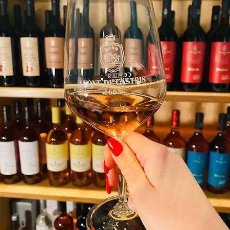 Leone De Castris Wine Hotell Salice Salentino