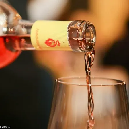 Leone De Castris Wine 3* Salice Salentino